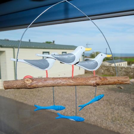 Kittiwake Apartment Saint Cyrus Екстериор снимка