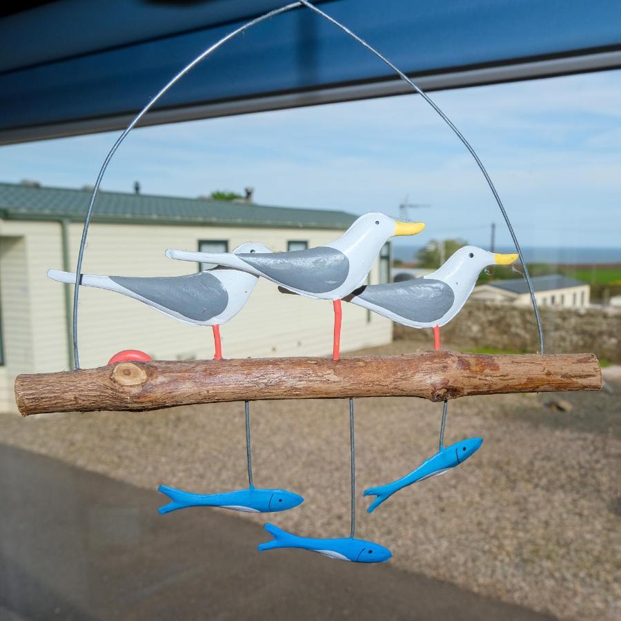 Kittiwake Apartment Saint Cyrus Екстериор снимка